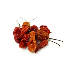 부트졸로키아