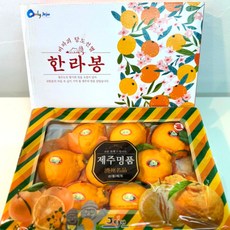  [제이씨오브]고당도 제주도 한라봉 1개 3KG  상품 이미지