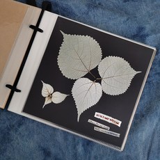 kirahosi 커플 포토앨범 diy 포토북 졸목 DIY 포토북 티켓머니 기념 모음집 회고록 포토샵 커플 핸드메이드 생일선물 567인치 접착식 성, 01 고리형: 흰색 표지+검은색 안쪽