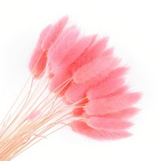 버니테일메르시가디건