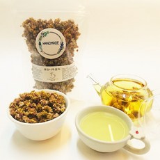 추천3생강나무효능