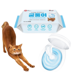 고양이항문티슈