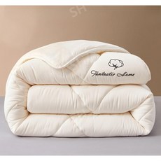 간절기 차렵 이불 가을 겨울 먼지 없는 푹신한 이불 코어 기숙사 학생 가정용 (글로벌)