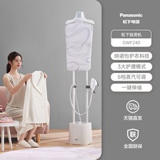 딜루비스스팀다리미