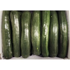 쥬키니 호박(특) 10kg 애호박, 1박스