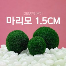 0d544e16ee29536f496ca4c9a9a72e0391cbd1c427632a7220ceaf20cbe1.jpg