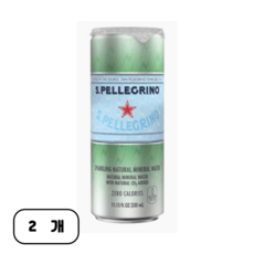 산펠레그리노 탄산수 플레인 캔, 330ml, 2개