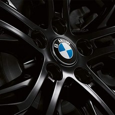 bmw순정번호판볼트