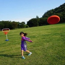 스펀지원반