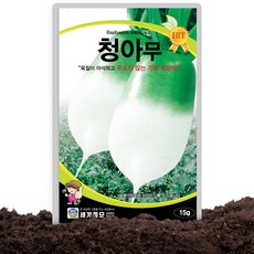 청아무 씨앗 15g 가을 저장용 김장무씨 종자 단단한 무 내병성무 무우씨, 1개