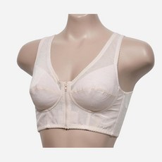 늘어진가슴브레이지어