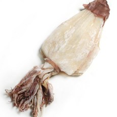 한치 3L 500g 한치 중에 가장 큰 크기 건한치 마른한치 화살오징어 오징어 쪽빛누리, 1개