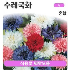 식용꽃 씨앗 140여종 모음/팬지 한련화 스토크 메리골드 천일홍 등, 1개