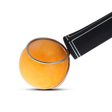 파크골프공집게