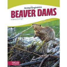 Beaver Dams Paperback, Focus Readers