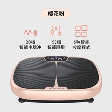 쉐이크보드 운동기구덜덜이효과 진동운동기 음파운동기 진동기 덜덜이, EMS 블렌더  지방흡입기 지방소녀 벚꽃파우더