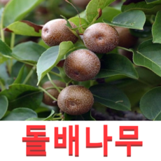 4ceb9af290d30d0b0511c335f8916bbbff0010a70648ae01b23a55d30cbc.png