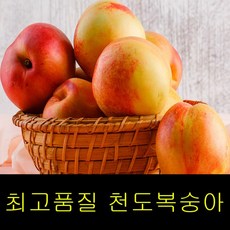 조치원복숭아