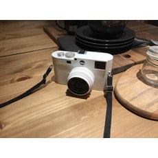 라이카미니어쳐