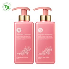 TS 퍼퓸 탈모 기능성 트리트먼트, 2개, 500ml