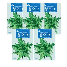 모두다 채소씨앗 청오크씨앗(3000립), 5개