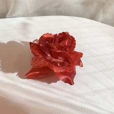 레이스코사지