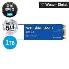 WD Blue SA510 SATA M.2 2280 SSD, WDS100T3B0B, 1TB