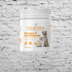 벳엑티브8 강아지 오메가3 360캡슐, 90캡슐