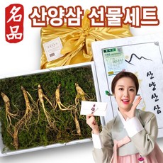 [명품] 강원도 산양삼 산양삼산삼 산삼 산양산삼 장뇌삼 6년근 5 6년 10년근 추석선물 5년산삼 6년근5뿌리 못난이 장뇌산삼 산양삼6년못난이 10년 20 뿌리, (a)7-8년산 건강용(5뿌리), 1개