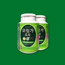 기섞모
