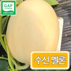 하니원멜론-추천-상품