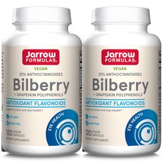 재로우 빌베리 Bilberry 120정 2개