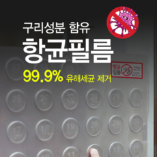 일반세균페트리필름