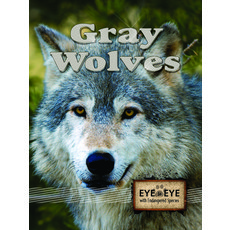 (영문도서) Gray Wolves Paperback, Rourke Educational Media, English, 9781615905119