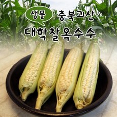 개미네농가
