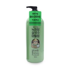 녹차탕살국수