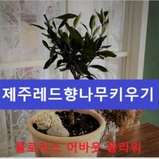 3a98027c52620312ab2cc3be1cec7699c8c2848715fc2b527b557372e33c.JPG