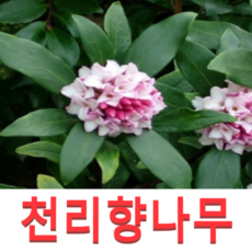 6d663ae74dbb81ef89f75a22e0d7a2862292c58fd193134baf9a7c8fd1c4.png