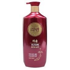 gd샴푸