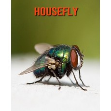 Housefly: Fun Facts & Cool Pictures Paperback, Independently Published, English, 9798564071789