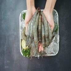 농장을 부탁해 국산 제철 새우 새우철 왕새우 흰다리새우, 1개, 500g