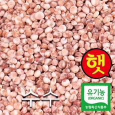 산들바람 2020년산 국산 유기농 수수 500g