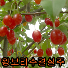 f40ddfefa12824d4d13e2fa313b183d1c737c08158013f5baaa063e2baaf.png