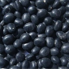 국산 서리태2kg 2023년산 토종재래종서리태, 국산 서리태2kg 2023년산 토종,재래종서리태
