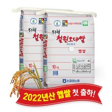 [당일도정] [동철원농협 직접운영] 2022년산 두루웰 철원오대쌀, 햅쌀 10kg x 2포