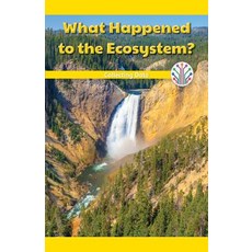 (영문도서) What Happened to the Ecosystem?: Collecting Data Paperback, Rosen Classroom, English, 9781508137771