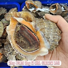 맛있는 제철 자연산 참소라로 만든 새로운 요리 레시피 공개
 제철 참소라-중1kg 2개 구매시 1kg 더 드립니다. 숙회 구이 소라장 뿔소라 소라는 클수록 맛있어요. 참소라-중1kg(5~8마리) 1개