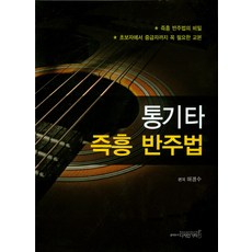 통기타 즉흥 반주법, 디자인기타, 허경수