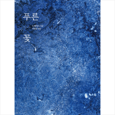 노발리스푸른꽃 TOP01