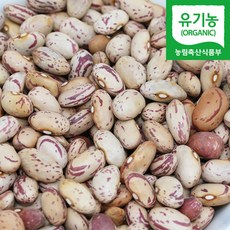 직송 국산 유기농 호랑이 강낭콩 호랑이콩 얼룩이콩, 1개, 500g